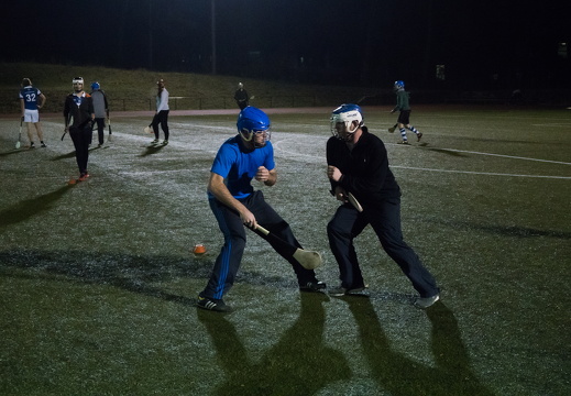 2016-12-12-Hurling-1