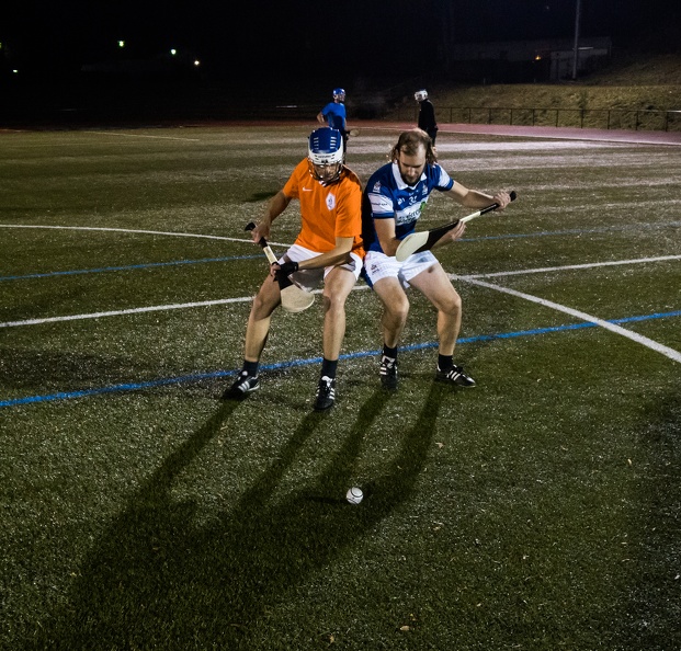 2016-12-12-Hurling-8.jpg