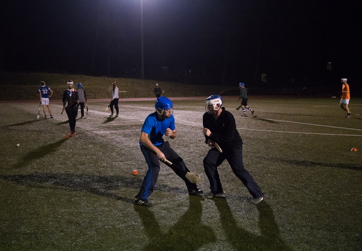 2016-12-12-Hurling-16