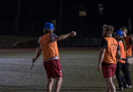 Hurling Training 2017-02-27-4
