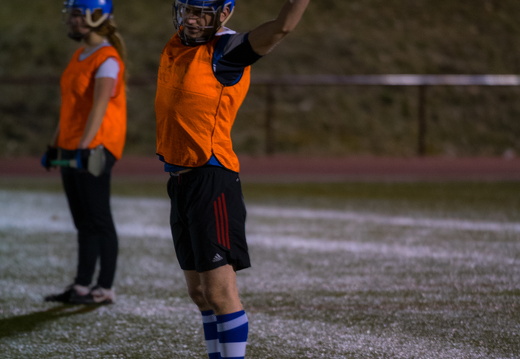 Hurling Training 2017-02-27-6