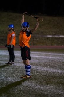 Hurling Training 2017-02-27-6