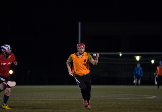 Hurling Training 2017-02-27-7