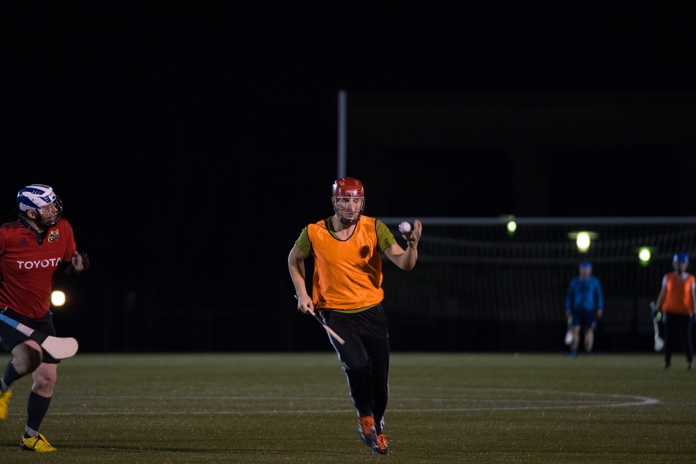 Hurling Training 2017-02-27-7