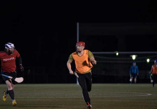 Hurling Training 2017-02-27-8