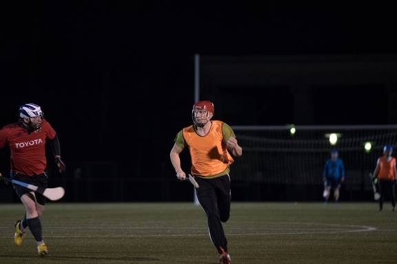 Hurling Training 2017-02-27-8