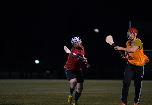 Hurling Training 2017-02-27-9