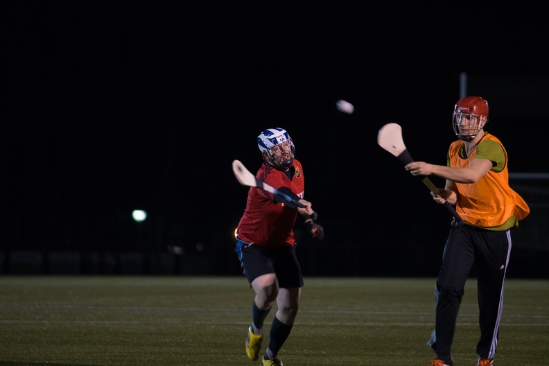 Hurling Training 2017-02-27-9