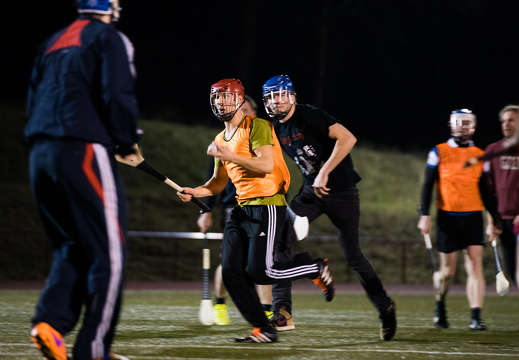 Hurling Training 2017-02-27-14