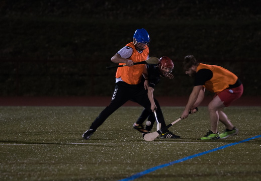 Hurling Training 2017-02-27-18
