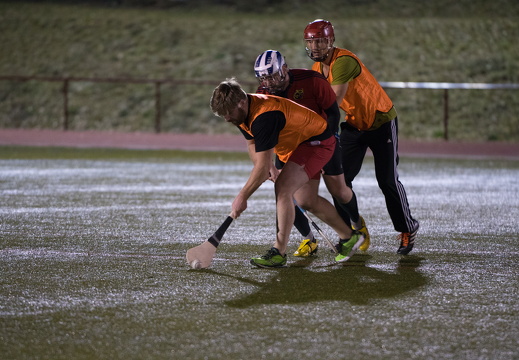 Hurling Training 2017-02-27-19