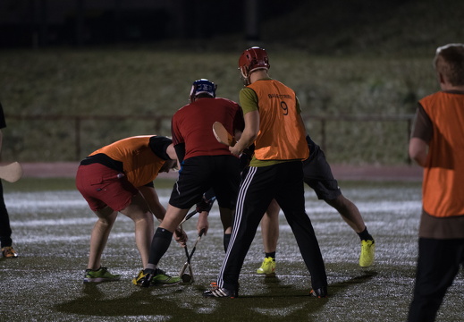 Hurling Training 2017-02-27-20