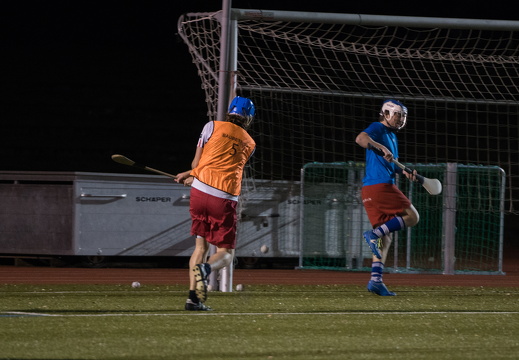 Hurling Training 2017-02-27-24