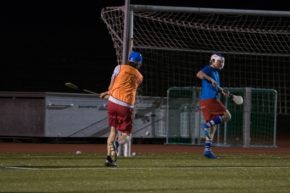 Hurling Training 2017-02-27-24