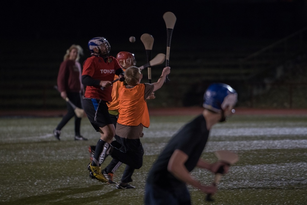 Hurling Training 2017-02-27-27