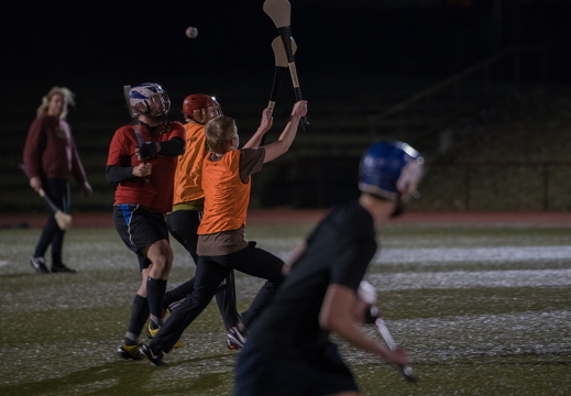 Hurling Training 2017-02-27-28