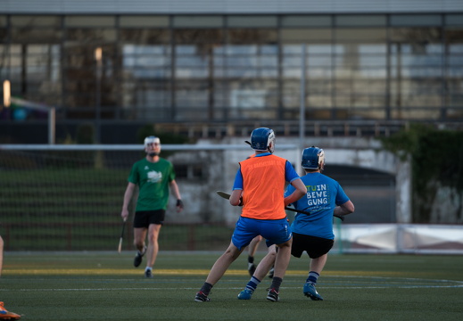 Hurling Training 2017-03-27-19