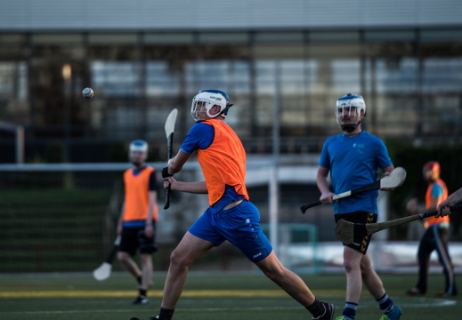 Hurling Training 2017-03-27-21