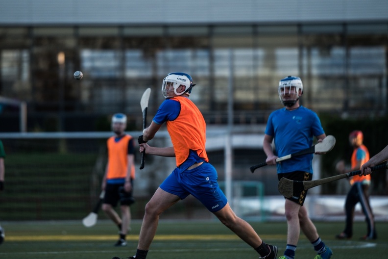 Hurling Training 2017-03-27-21