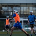 Hurling Training 2017-03-27-21