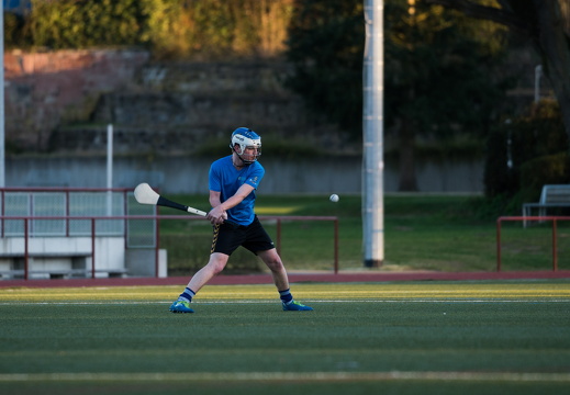 Hurling Training 2017-03-27-23