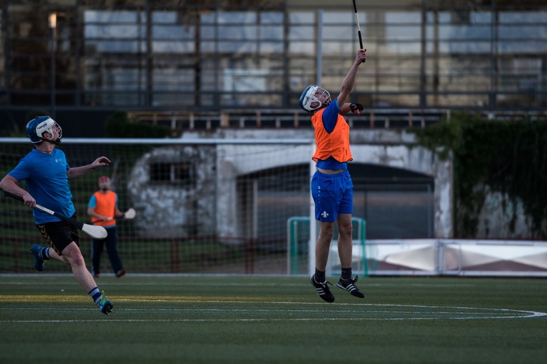 Hurling Training 2017-03-27-24