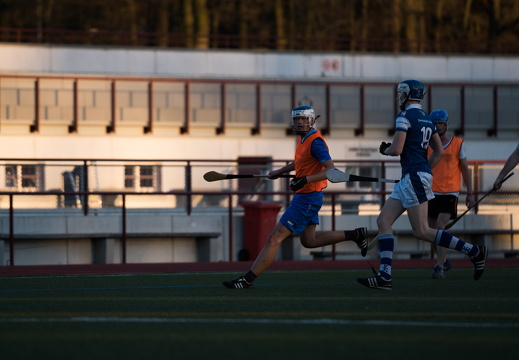 Hurling Training 2017-03-27-25