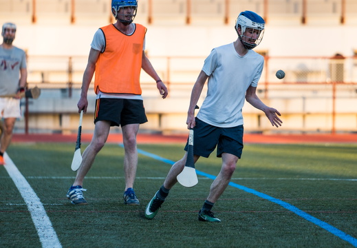 Hurling Training 2017-03-27-29
