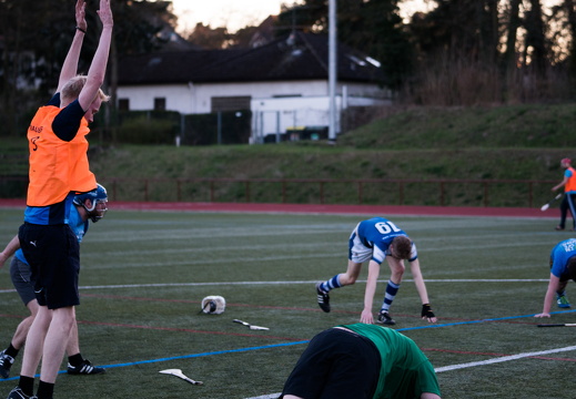 Hurling Training 2017-03-27-31