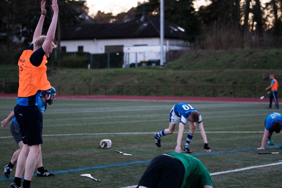 Hurling Training 2017-03-27-31