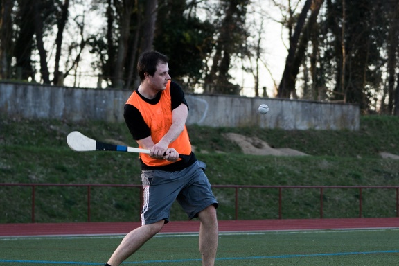 Hurling Training 2017-03-27-2