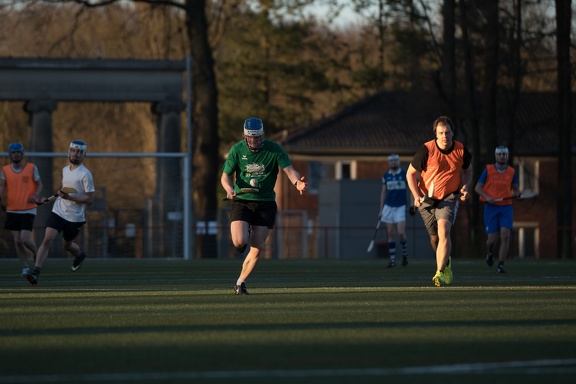 Hurling Training 2017-03-27-4