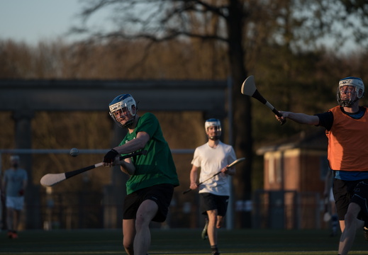 Hurling Training 2017-03-27-5