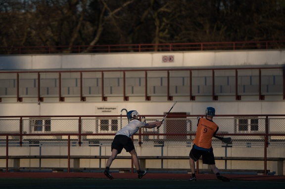 Hurling Training 2017-03-27-7