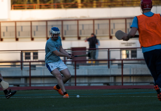 Hurling Training 2017-03-27-8