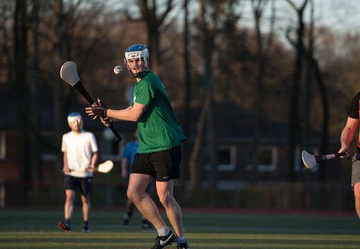 Hurling Training 2017-03-27-9