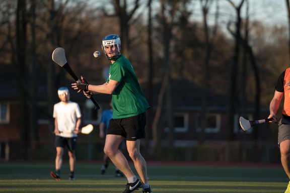 Hurling Training 2017-03-27-9