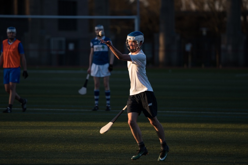 Hurling Training 2017-03-27-10