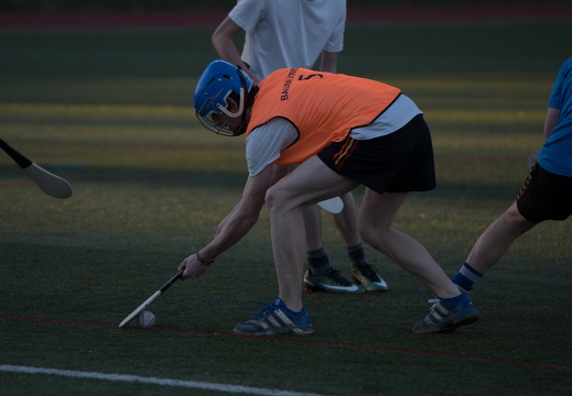 Hurling Training 2017-03-27-12