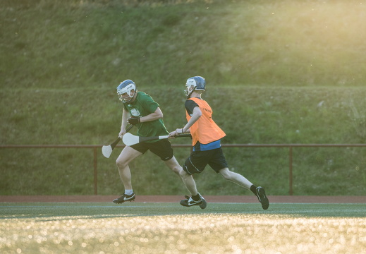 Hurling Training 2017-03-27-15