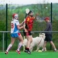 Hurling Luxembourg Gaelic Shots-37