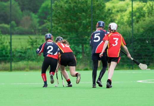 Hurling Luxembourg Gaelic Shots-58