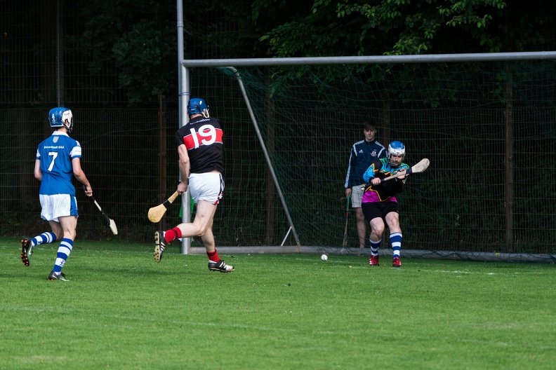 Hurling-Hamburg-gs-2.jpg