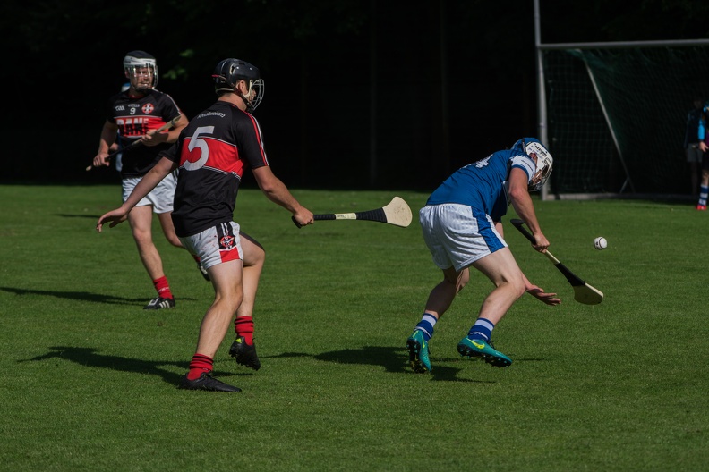 Hurling-Hamburg-gs-3.jpg