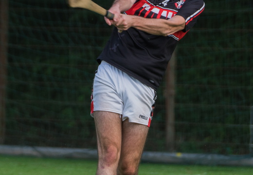 Hurling-Hamburg-gs-14