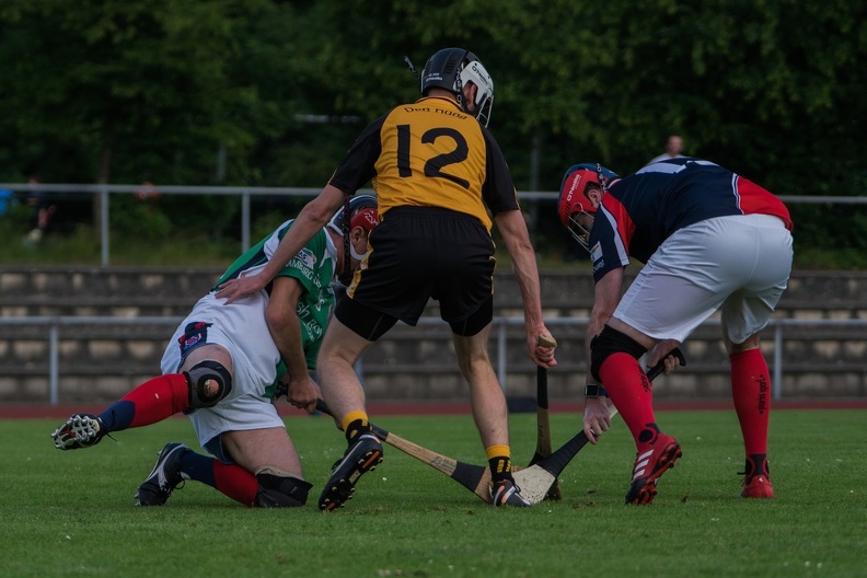 Hurling-Hamburg-gs-21.jpg