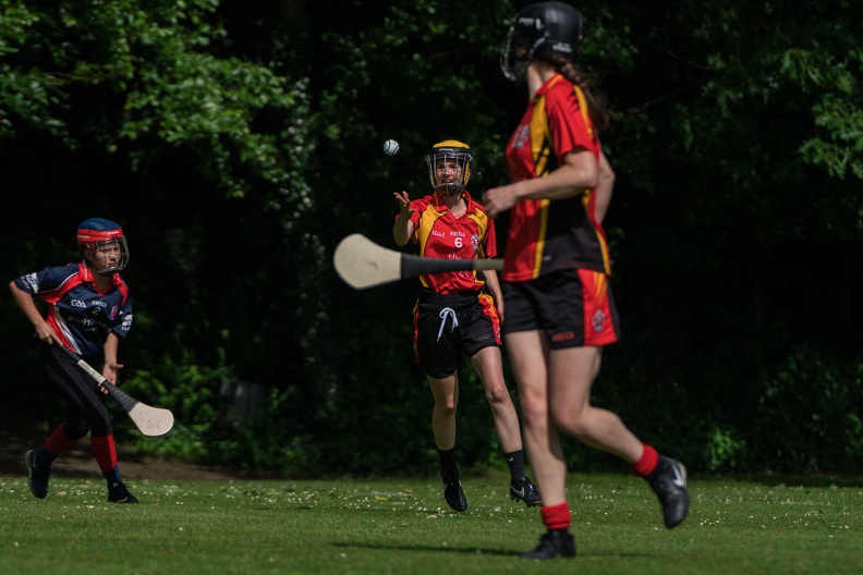 Hurling-Hamburg-gs-29.jpg