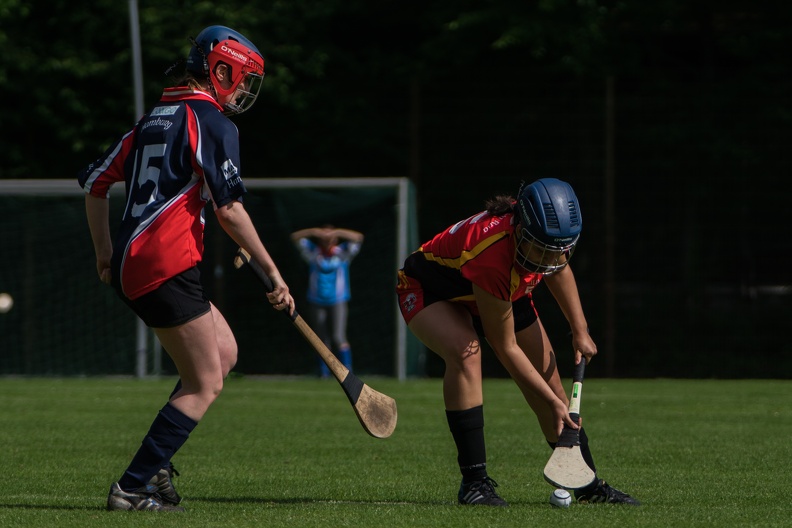 Hurling-Hamburg-gs-33