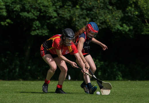 Hurling-Hamburg-gs-35