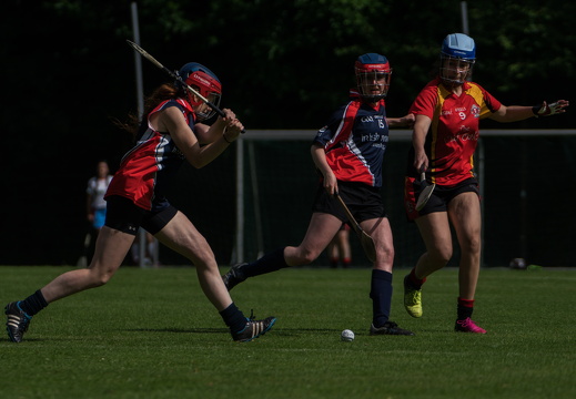 Hurling-Hamburg-gs-36